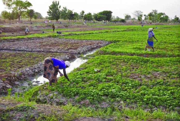 Projet Agriculture Durable
