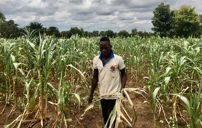Agriculteurs face aux sécheresses