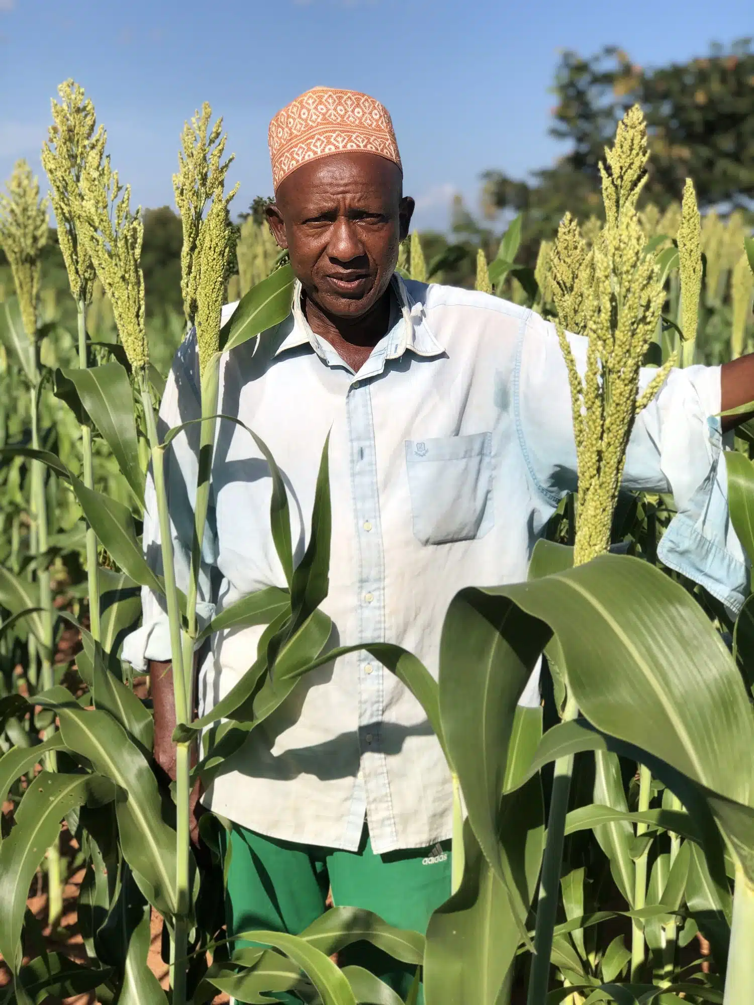 Agriculteur productif