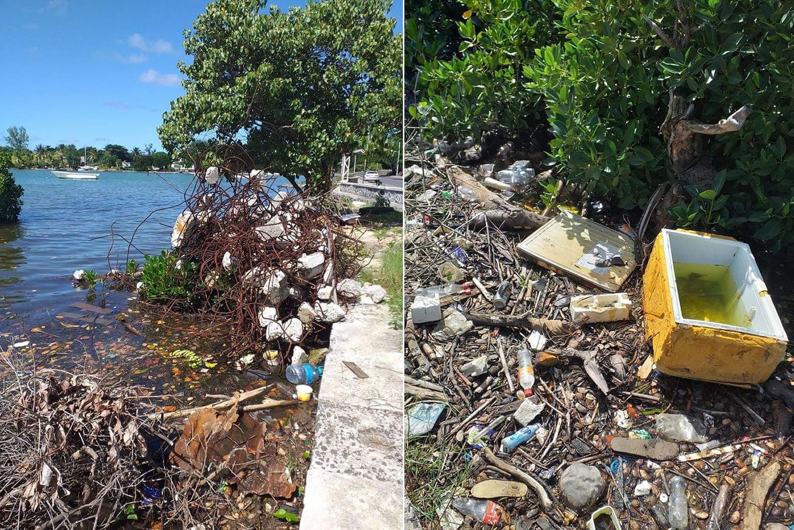 Lagunes et Lac Ahémé