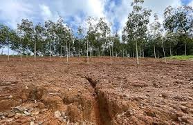 Dégradation des sols en Afrique de l'Ouest