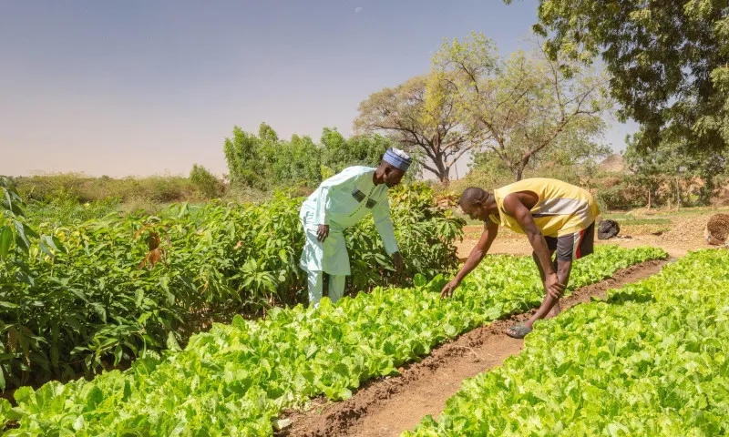 Ferme productive et écosystème sain